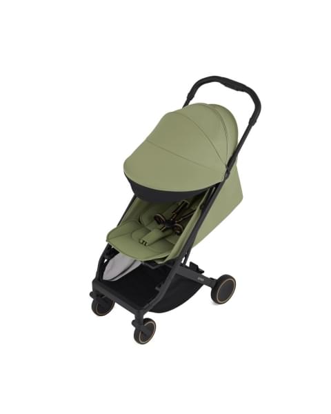 Коляска прогулочная Anex Air-X2, Vert (new Ax2-03)