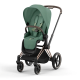 Прогулочная коляска Cybex Priam IV шасси Rose Gold, Leaf Green (Зеленый)