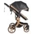 Коляска трансформер Aimile Adventurer черный