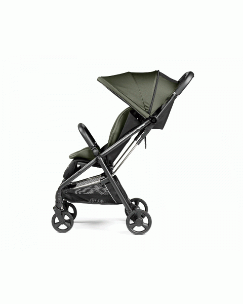 Прогулочная коляска Peg Perego Selfie Plus Mon Amour