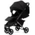 Прогулочная коляска Peppy Polo 2.0 Silver black хром рама, сумка