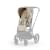 Сменный чехол Seat Pack для коляски Cybex Priam IV Fashion Collection, FE Simply Flowers Beige (Бежевый)