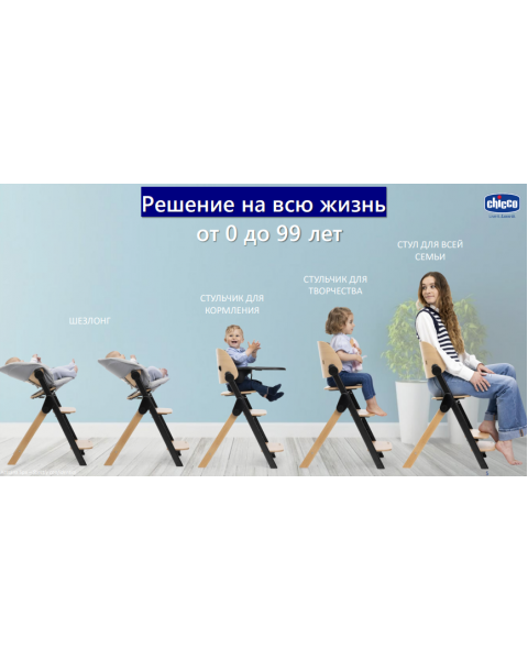 Стульчик для кормления Chicco Meraviglia, Ebony (Черный)