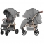 Коляска прогулочная Baby Tilly Eco T-166, Rhino Gray (Серый)