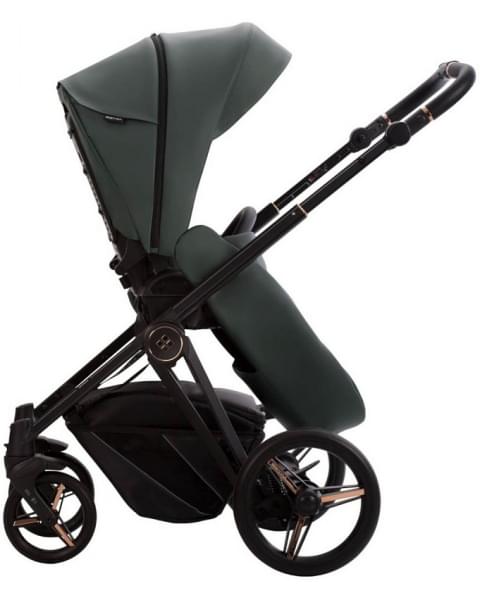 Детская коляска Bebetto Monti Pro 2 в 1 02 Stella т.зеленая кожа