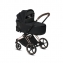 Коляска 2 в 1 Cybex Priam III Jeremy Scott Cherubs, FE JS Cherubs Pink (Розовый с рисунком)