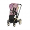 Коляска 2 в 1 Cybex Priam III Jeremy Scott Cherubs, FE JS Cherubs Pink (Розовый с рисунком)