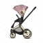 Коляска 2 в 1 Cybex Priam III Jeremy Scott Cherubs, FE JS Cherubs Pink (Розовый с рисунком)