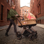 Cybex Priam IV Mirage Grey (Серый), Rose Gold + Cloud T i-Size