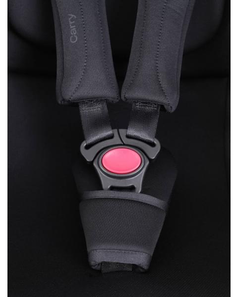 Автокресло Rant Carry Pro (40-87 см) Black
