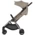Детская коляска Anex IQ Premium NT x Avionaut Cosmo 3 в 1 Sandy