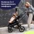 Детская коляска Bugaboo Fox 5 Complete 2 в 1 Black/Midnight Black/Forest Green