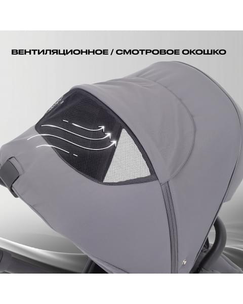 Детская коляска Rant Flex 2 в 1 RA076 Graphite