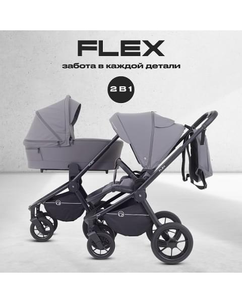 Детская коляска Rant Flex 2 в 1 RA076 Graphite