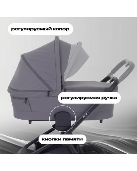 Детская коляска Rant Flex 2 в 1 RA076 Graphite