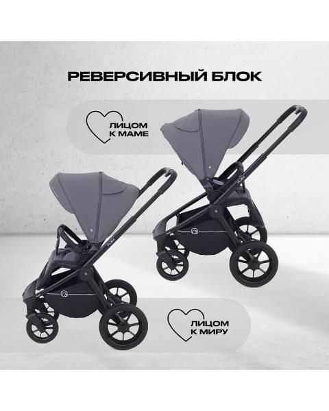 Детская коляска Rant Flex 2 в 1 RA076 Graphite