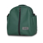 Детская коляска Riko Basic Ozon Ecco 2 в 1 22 изумрудный