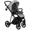 Детская коляска Roan Sol Flowers 3 в 1 с автокреслом Tutis Elo Lux EduSky Black RSF/5002 Gray/Black