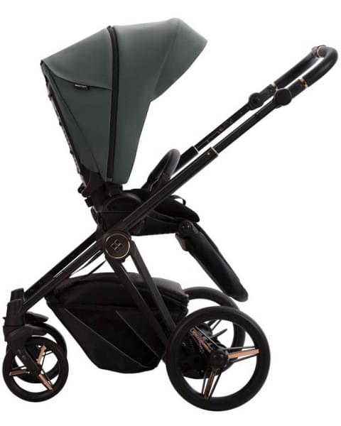 Детская коляска Bebetto Monti Pro 2 в 1 02 Stella т.зеленая кожа