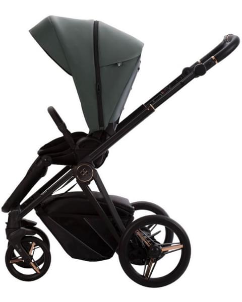 Детская коляска Bebetto Monti Pro 2 в 1 02 Stella т.зеленая кожа