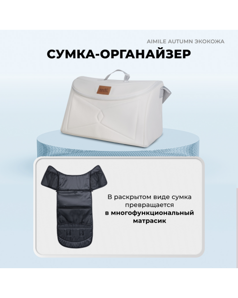 Коляска-трансформер Aimile Original Autumn