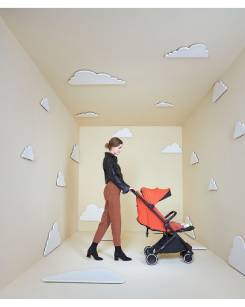 Коляска 2 в 1 Anex Air-X, Terracotta / Терракот (Ax-01/L)