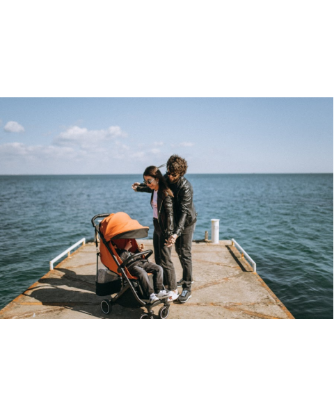 Коляска 2 в 1 Anex Air-X, Terracotta / Терракот (Ax-01/L)