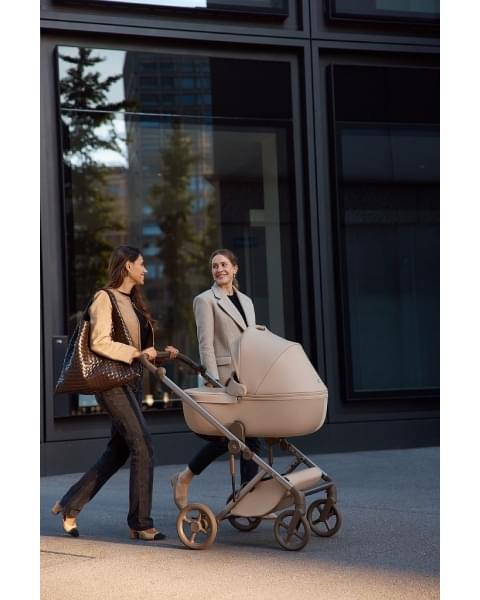 Коляска 2 в 1 Anex Eli, Woody (el-08)