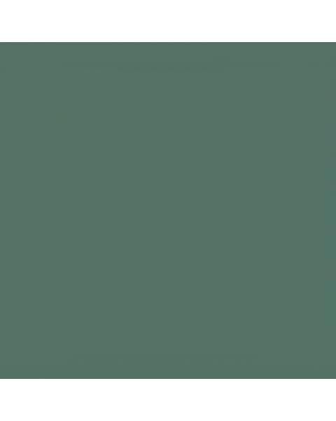 Коляска 2 в 1 Carrello Alfa 2025 CRL-6522 Meadow Green