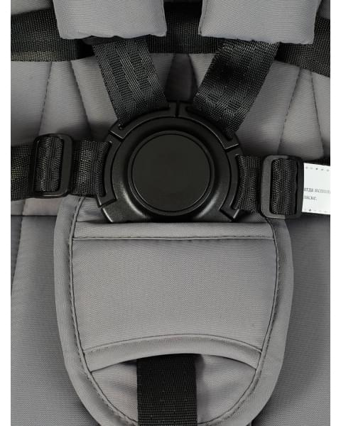 Коляска 2 в 1 Rant Basic Terra Graphite