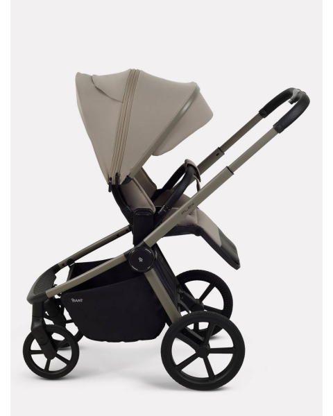 Коляска 2 в 1 Rant Flex Forma Cloud