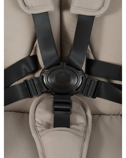 Коляска 2 в 1 Rant Flex Forma Cloud