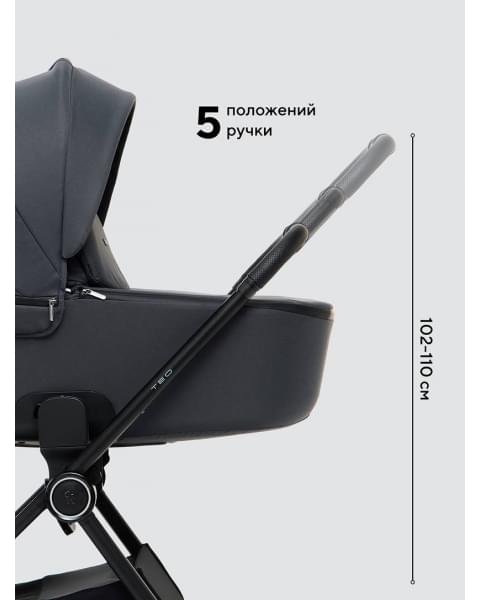 Коляска 2 в 1 Rant Teo Soft Graphite