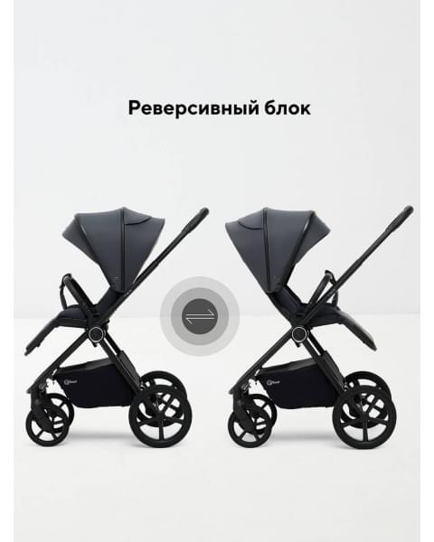 Коляска 2 в 1 Rant Teo Soft Graphite