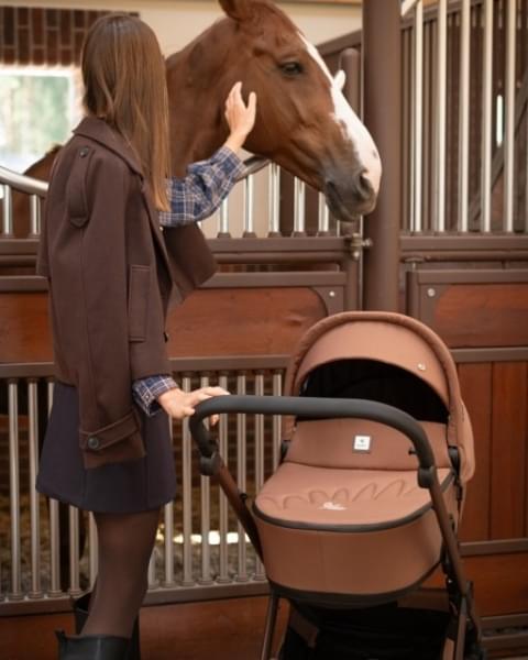 Коляска 2 в 1 Tutis Mio 3+ New Limited, Hoopoe Brown (016)