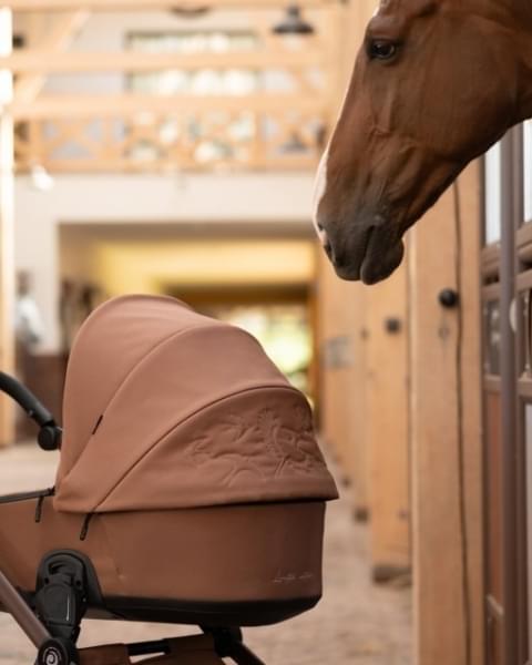 Коляска 2 в 1 Tutis Mio 3+ New Limited, Hoopoe Brown (016)