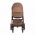 Коляска 2 в 1 Tutis Mio 3+ New Limited, Hoopoe Brown (016)