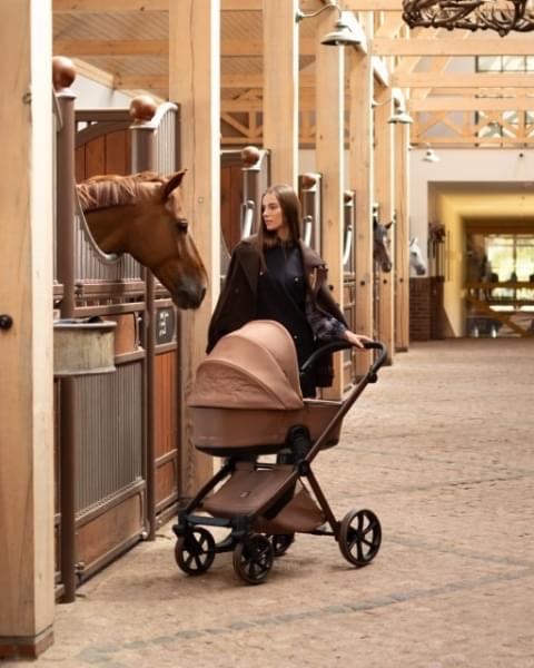 Коляска 2 в 1 Tutis Mio 3+ New Limited, Hoopoe Brown (016)