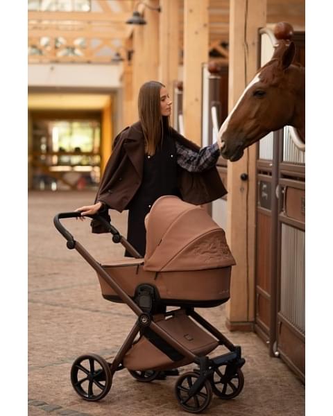 Коляска 2 в 1 Tutis Mio 3+ New Limited, Hoopoe Brown (016)