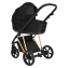 Коляска 3 в 1 Roan Sol Lux, Raven шасси Rose Gold (Черный)