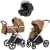 Коляска Carrello Vector CRL-6550 Vega Absolute Black 3 в 1 Coral Beige