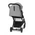 Коляска прогулочная Cybex Beezy (с дождевиком и бампером), Lava Grey (Серый)