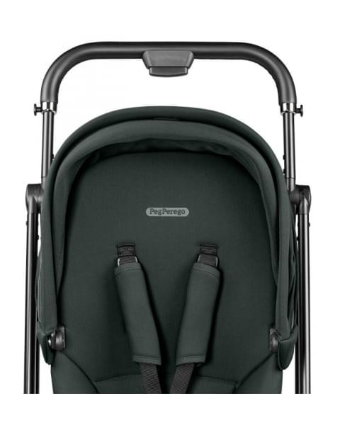 Прогулочная коляска Peg Perego Vivace New Metal