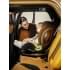 Детское удерживающее устройство Amarobaby Triumph, i-Size, 40-150 см, серый
