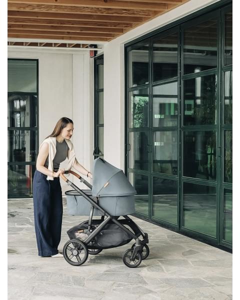 Коляска 2в1 UPPAbaby VISTA V3 DILLAN