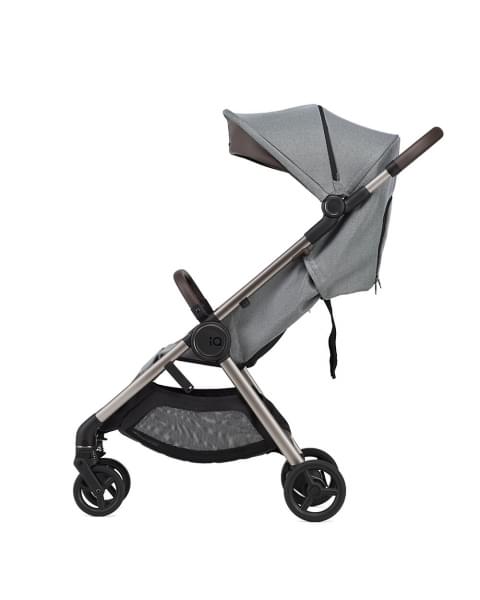 Детская коляска Anex iQ Premium NT 2 в 1 seal