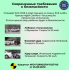 Автокресло Agex Comfort i-Fix 360 (0-36 кг), Grey (Серый)