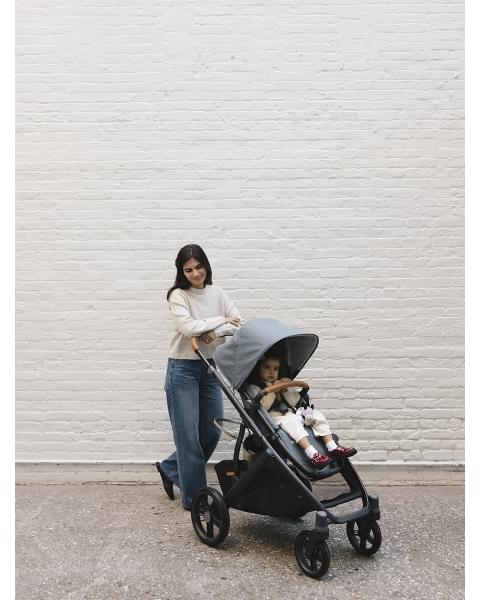 Коляска 2в1 UPPAbaby VISTA V3 DILLAN