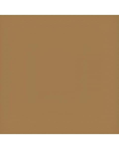 Коляска 2 в 1 Carrello Vector 2025 CRL-6551 Golden Beige