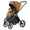Коляска 2 в 1 Carrello Vector 2025 CRL-6551 Golden Beige